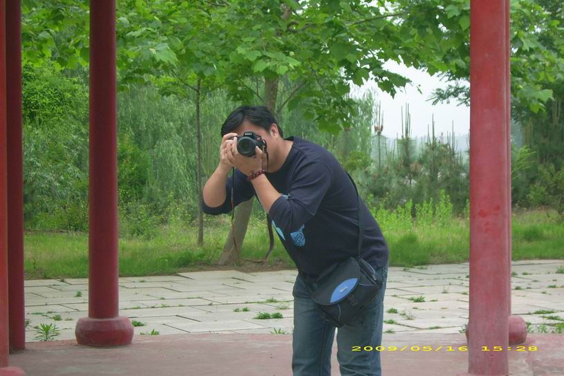 ֮Ƭ