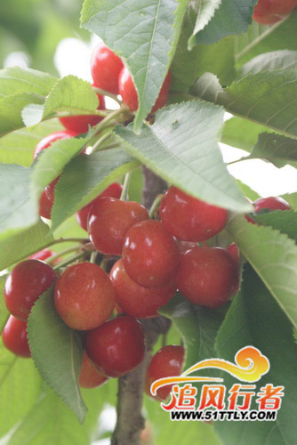ԴξƬ02