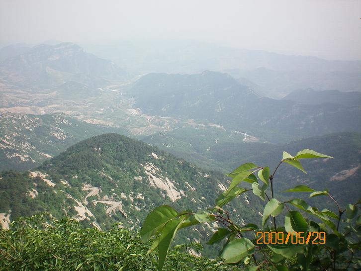 еԴԼ