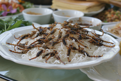 ֻطü Ѵ