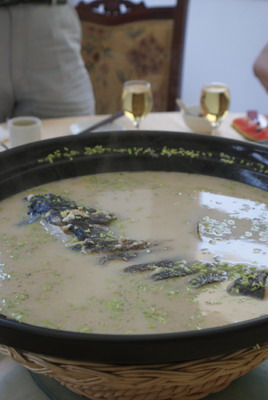 ֻطü Ѵ