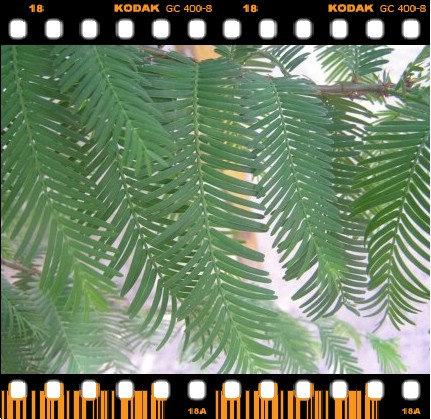 ٵԴ֮ҵ-2