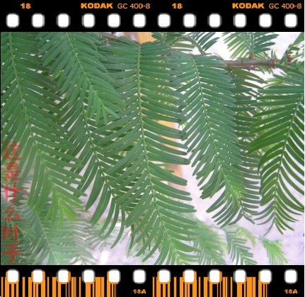 ٵԴ֮ҵ-2