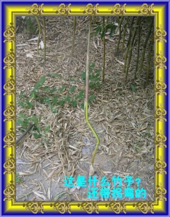 ٵԴ֮ҵ-2