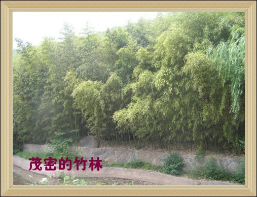 ٵԴ֮ҵ-2