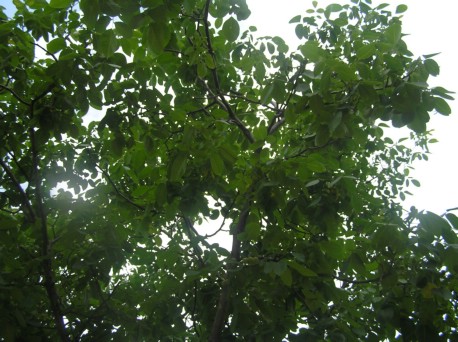 ٵԴ֮ҵ-2