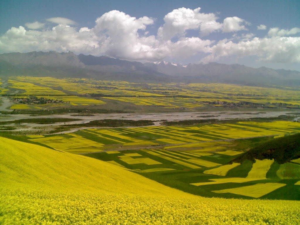 20098¿Խຣز ȫԱټ