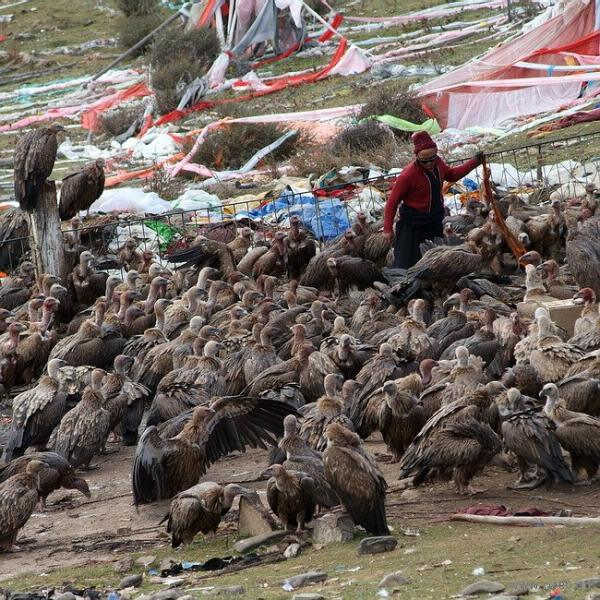 20098¿Խຣز ȫԱټ