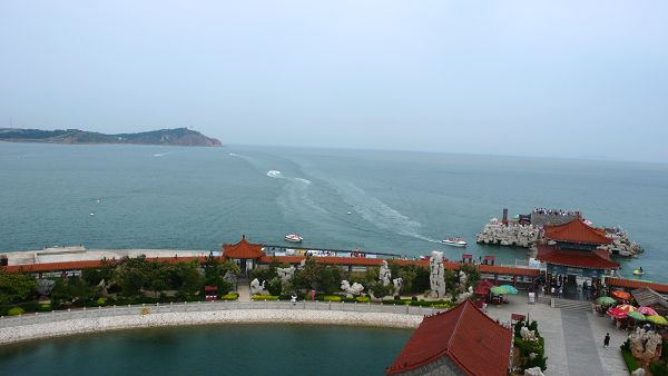 紵죡