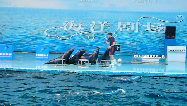紵죡캽ҵ