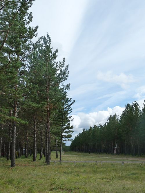 JBkUaL9l.jpg