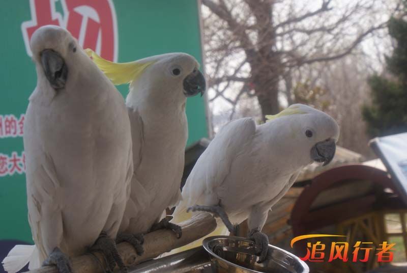 2010Լ̤չͼƬչ