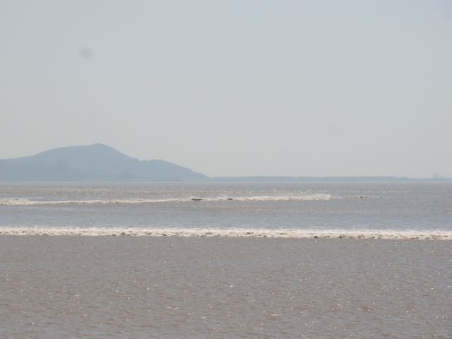 20109¹۳