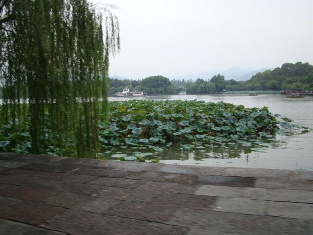 ʮ庣۳-----ɽ۳----