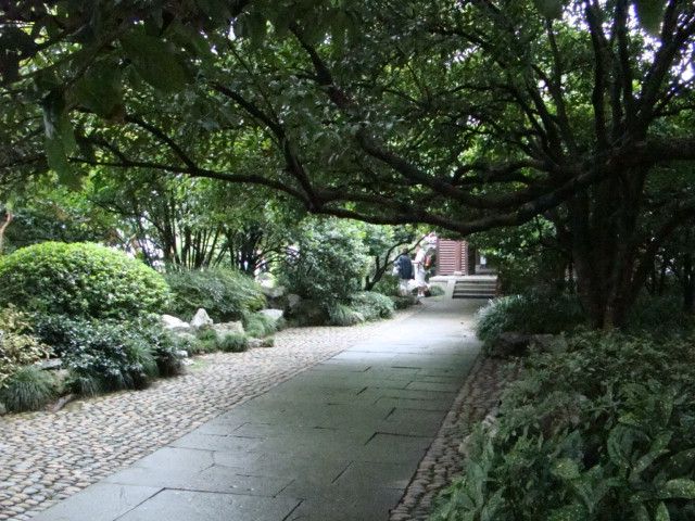 ʮ庣۳-----ɽ۳----