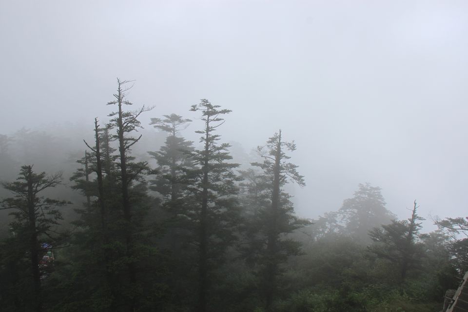 nJsmtE9w.jpg