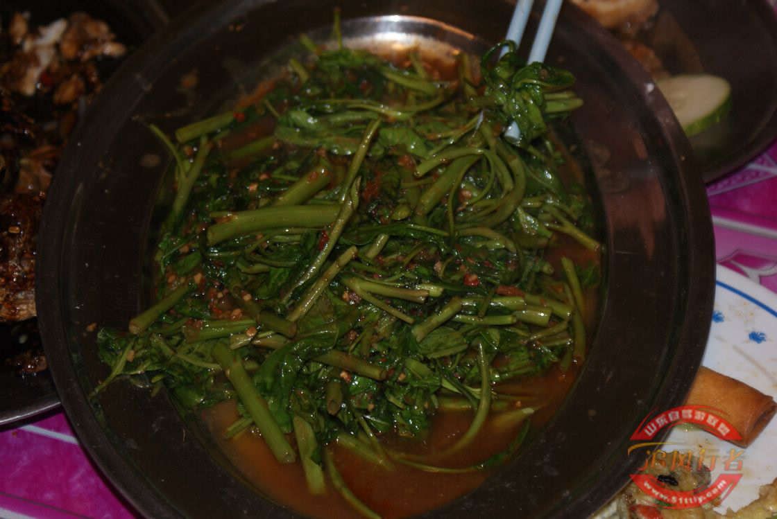 hQGASAT3.jpg