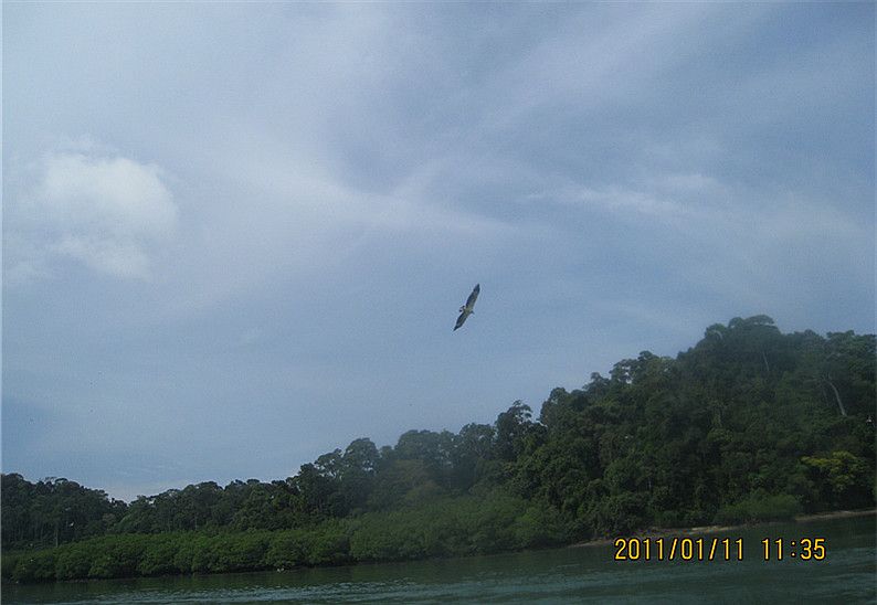 ĳϵҵ