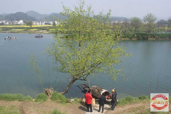 415׷Լݺ塢ԴֱͼƬ