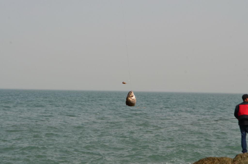 2011.5.1Ϻ10ҵ