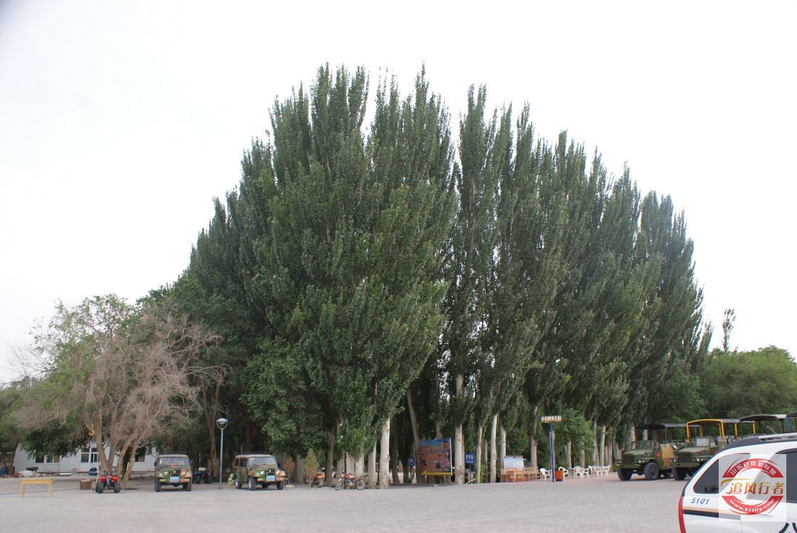 kAzVYp0W.jpg