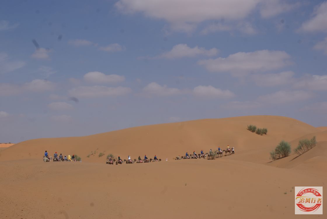 wY6F9Gni.jpg