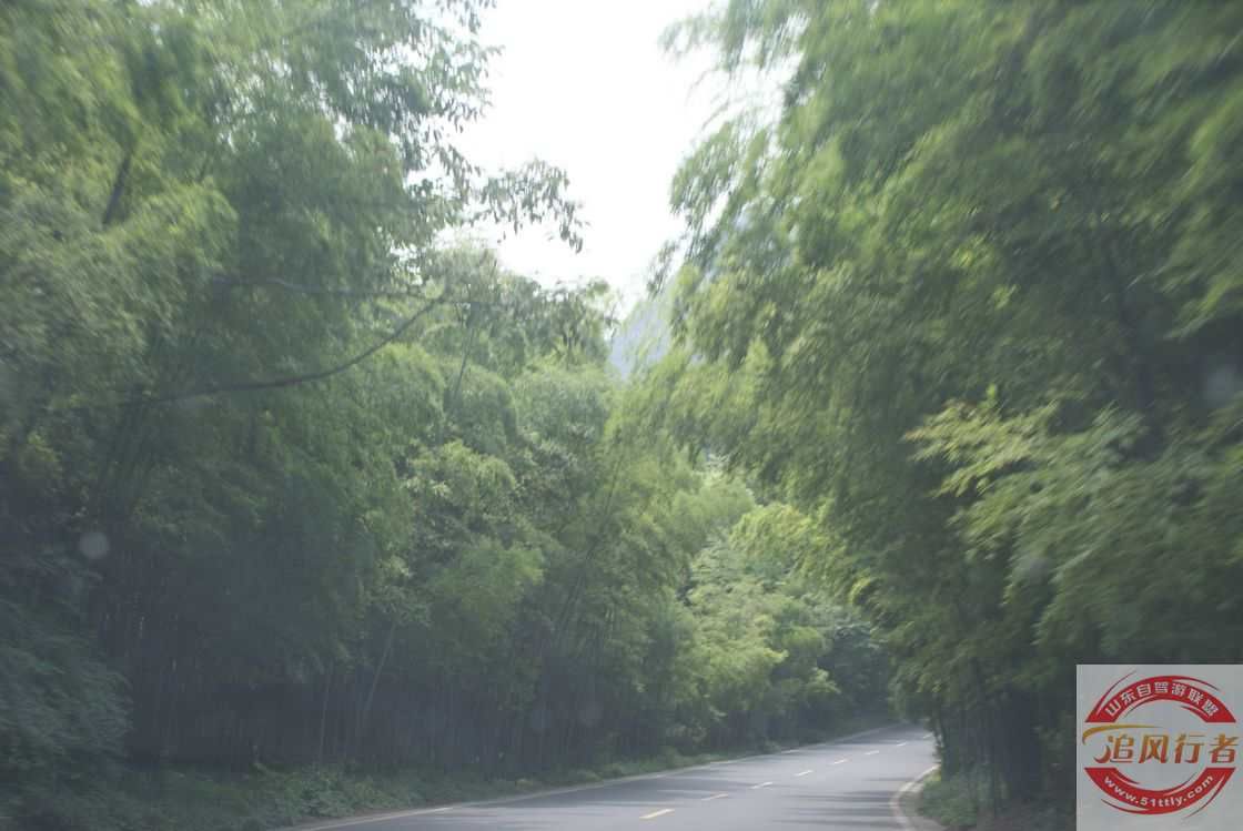 L8356KYJ.jpg