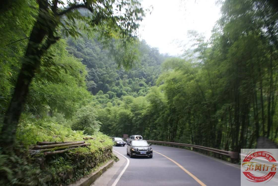 Lq41gCRd.jpg