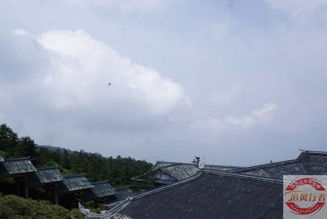 xT5iwc5X.jpg