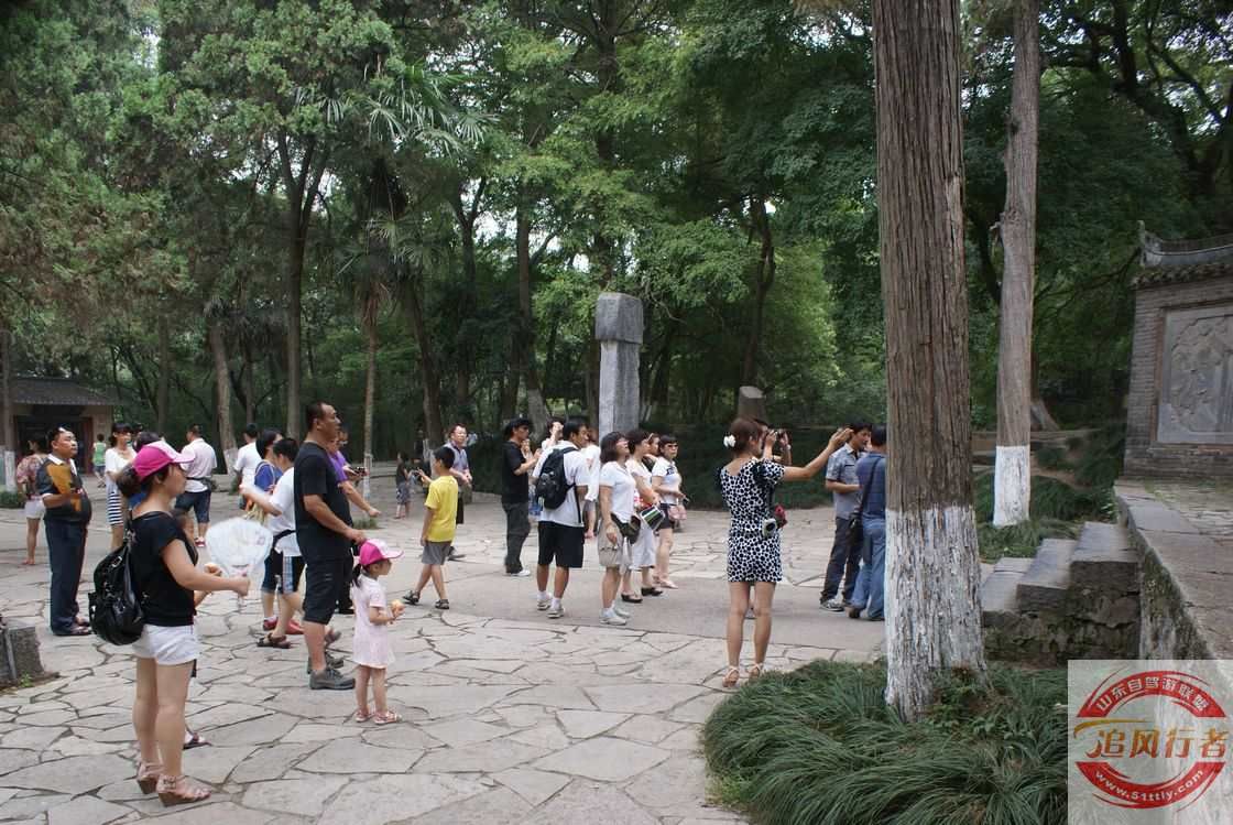 N6603gro.jpg