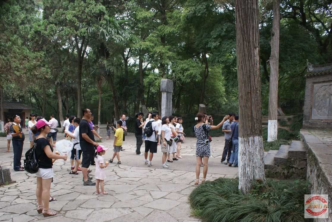 D04STqQs.jpg