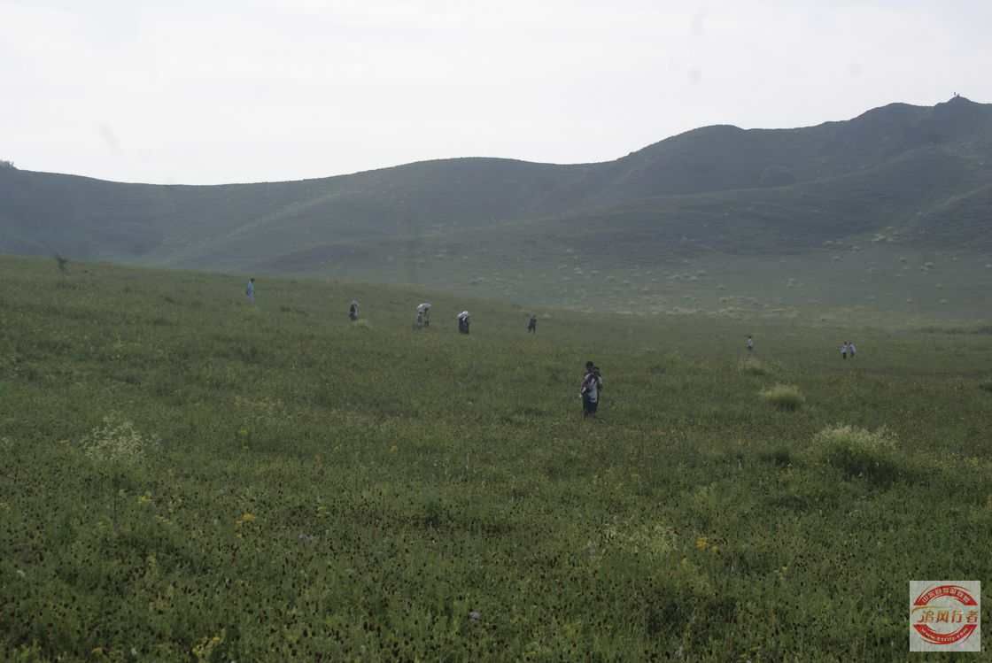R524N1BL.jpg