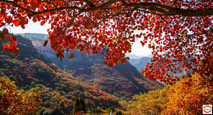 10月25-26日自驾齐鲁探寻美食美景之旅招募中