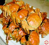 9月18-20日自驾泰州 兴化美食美景休闲游
