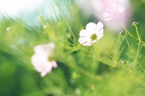 另外一种摄影玩法 虚像摄影的10个技巧 另外一种摄影玩法 虚像摄影的10个技巧
