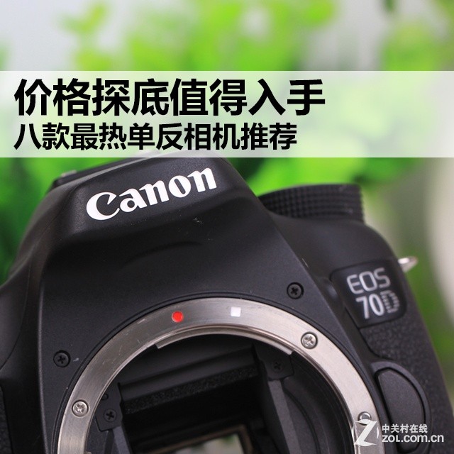 价格探底值得入手 八款最热单反相机推荐