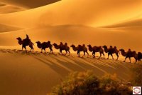 20177Լ˿֮·ຣ迨ػ͡ءŹءħǡɳɽ