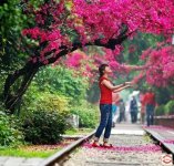 2026��1��31-2��8���Լݸ�������ɽ-����-ƽ̶��-Ȫ��-��������-������-������¥9����