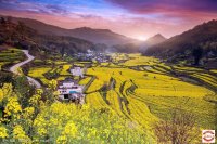 2026��3���Լݽ���-��������-���-����-˼Ϫ��-������-�ʺ���-�°�������5������ļ������������