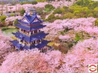 2026��3��17-21�ջ�̫���Լ���������·-̫�����ζȼ���-��ɽ��-��ͷ�ӣ����5������ļ