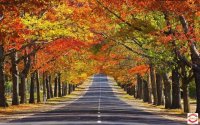 ���ɶ��뵺��2026��9�¸�һ�����������޶�֮Լ���캣̲�ĳ��ȣ���Ҷ�ֵ�˽�����·������