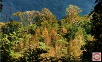 2015年1月9-20日海南环岛全程深度自驾招募中