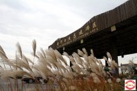 2015年11月7-8日泡温泉 品大闸蟹两日游招募