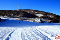 2016年元旦温泉 滑雪 草莓采摘二日游招募中